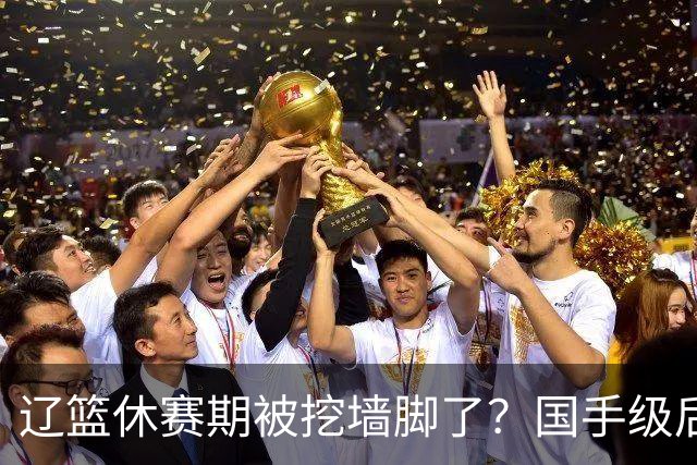 辽篮休赛期被挖墙脚了？国手级后卫恐被交易：变相逼着赵继伟走人